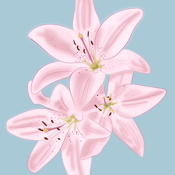 Lillies by Gracie Ortega