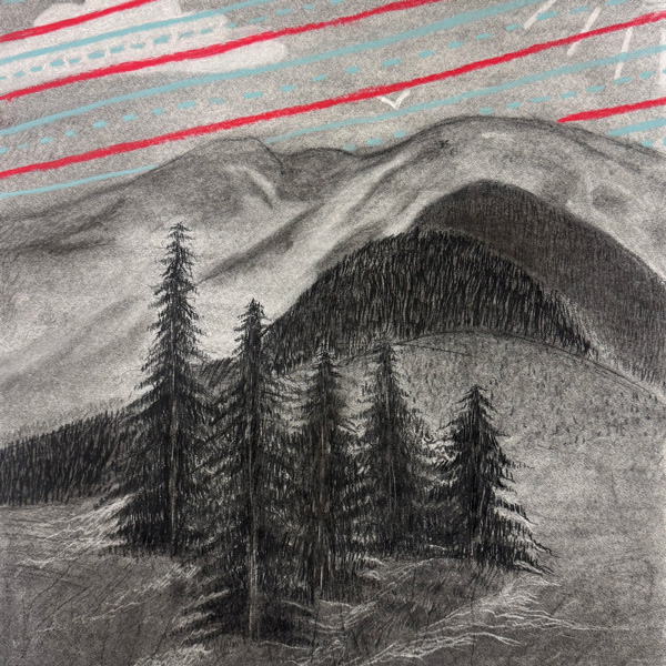 Best in Drawing