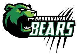Brookhaven logo