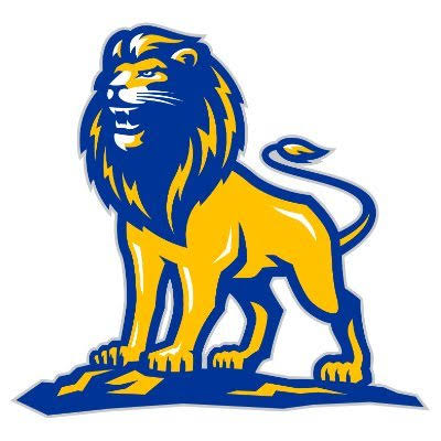 Dallas Mountain View  logo